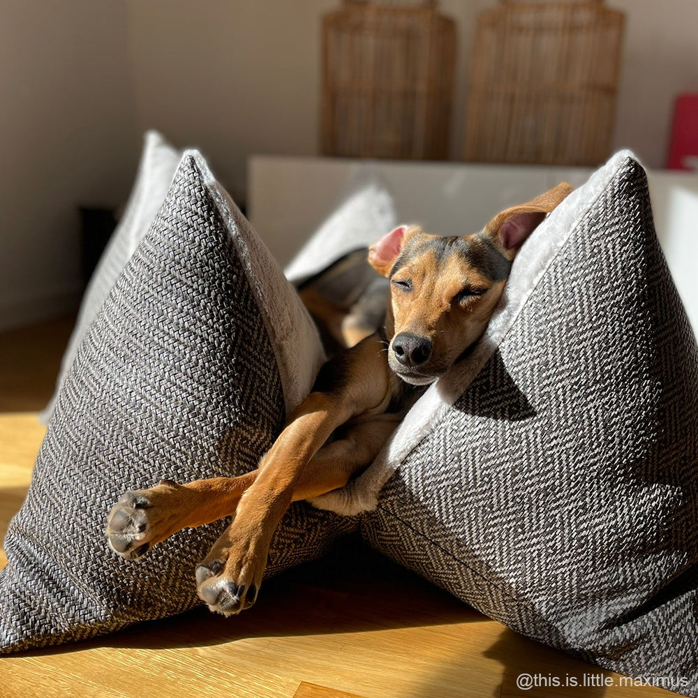 FLUM Rattan Chic Hundekissen Hundebett Petbed Dogbed – FLUM Manufaktur