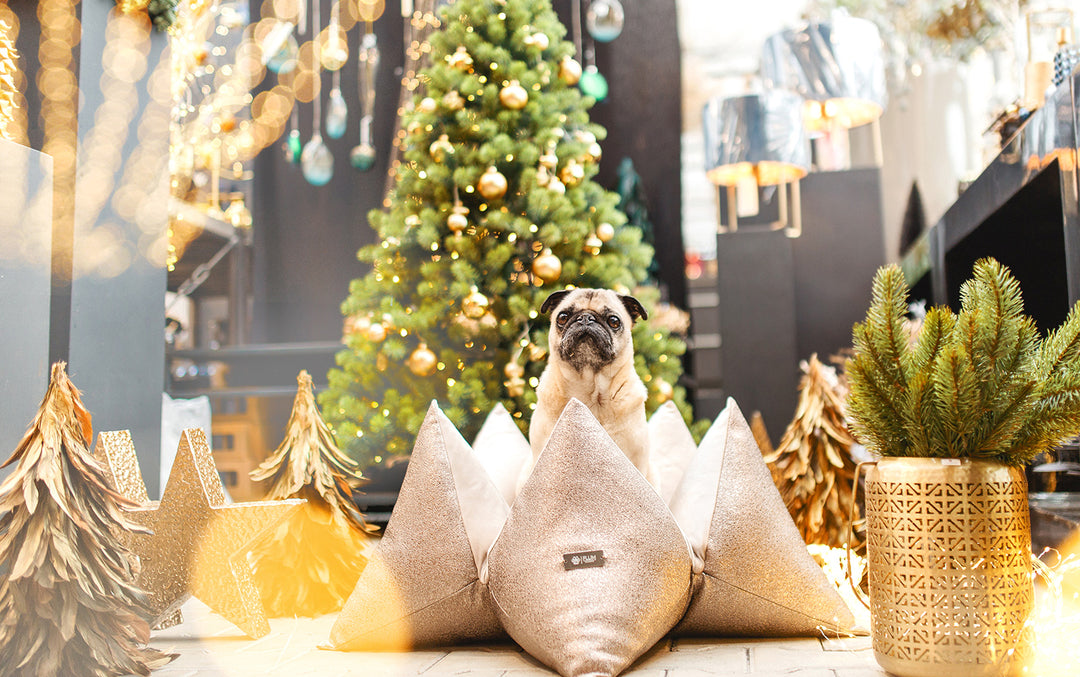 Flumscheln in a Glitter Wonderland