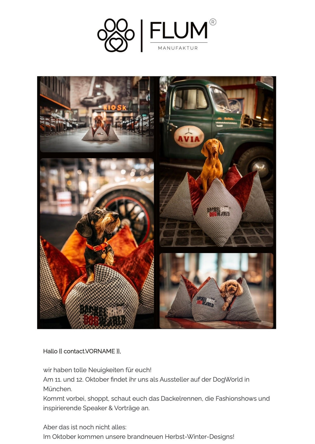 NEW Fall/Winter Designs & DogWorld