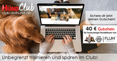 FLUM & DER HUND Club