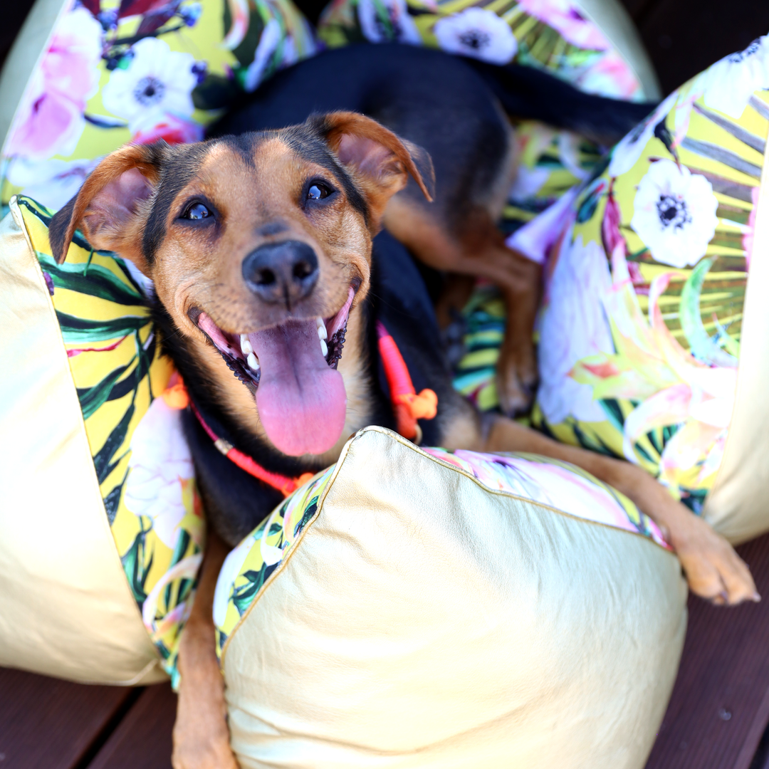 FLUM Summer Collection