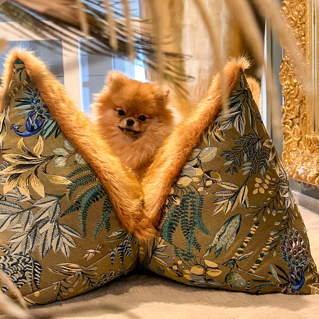 Edle Exotik für Vierbeiner – Pompöös Jungle