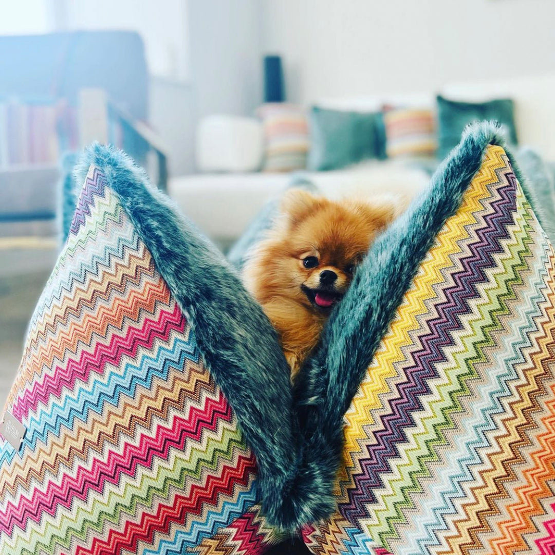 La Vida Loca - Welcome To Ibiza