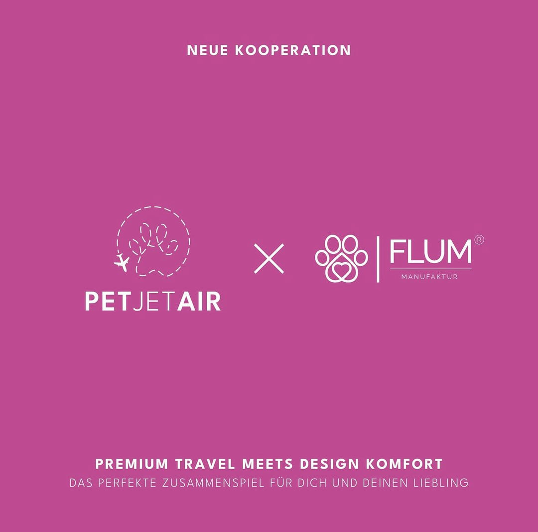 Kooperation mit Petjetair & New Collection