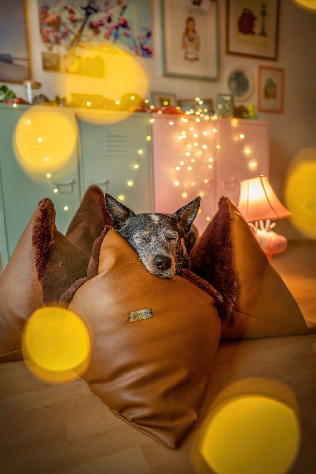 Meine kleine Flum Geschichte