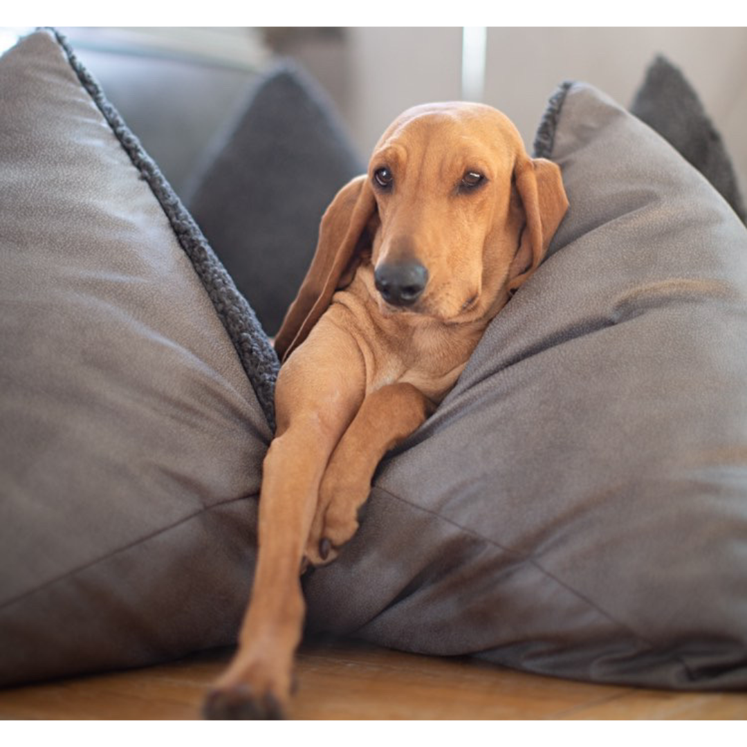 Die Welt von FLUM – Handmade Comfort