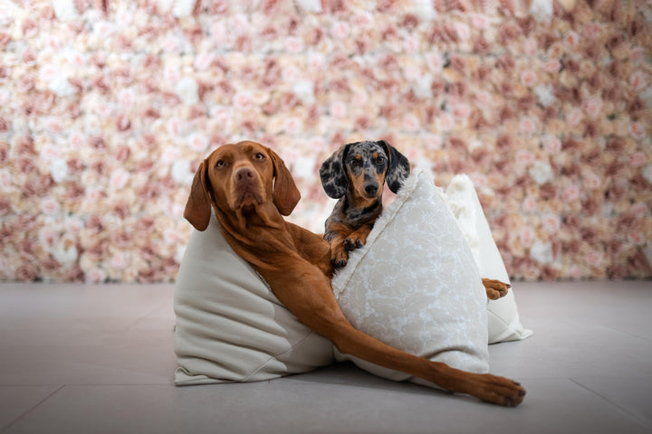 Flum x White Silhouette #champagnerlace