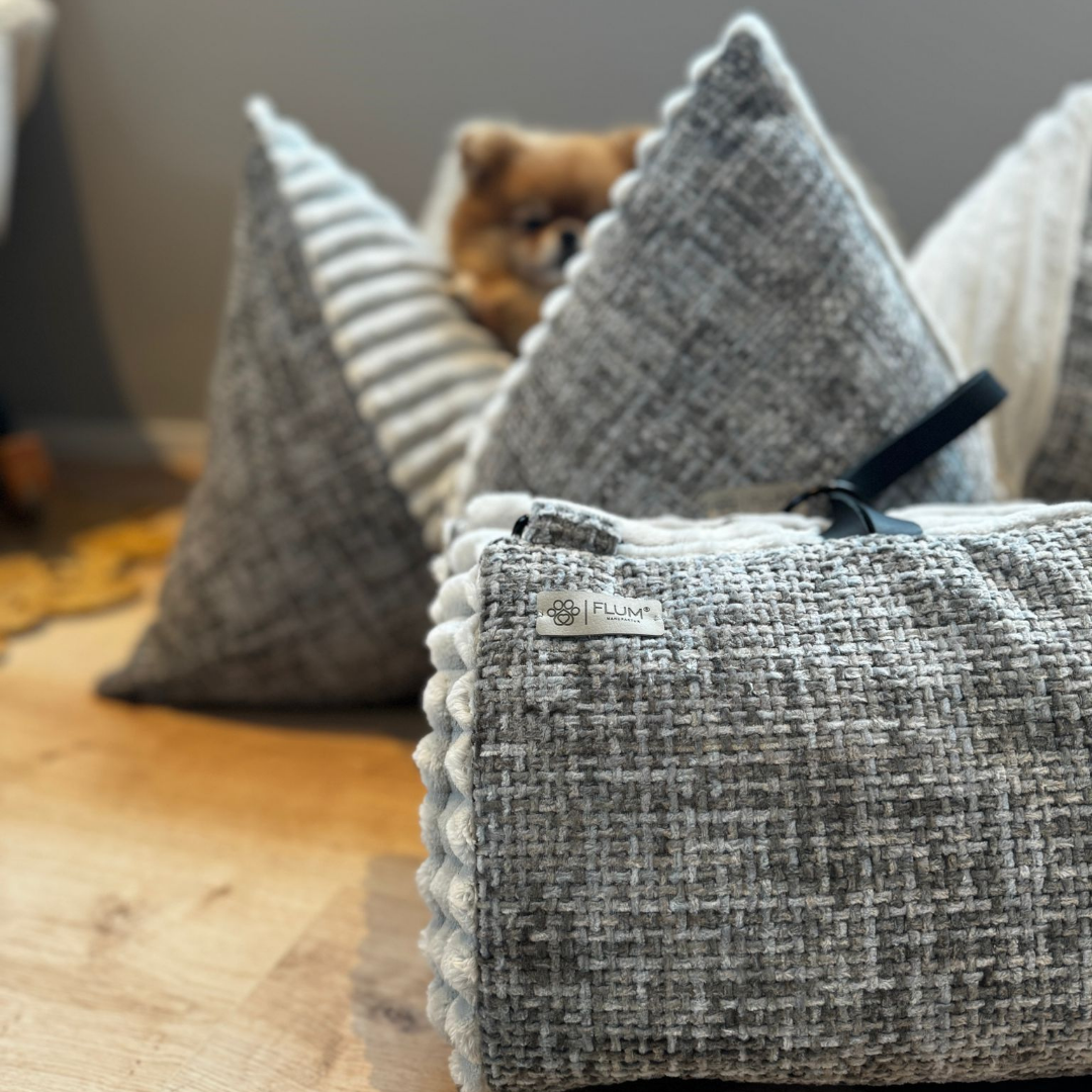 Travel Decke the fog