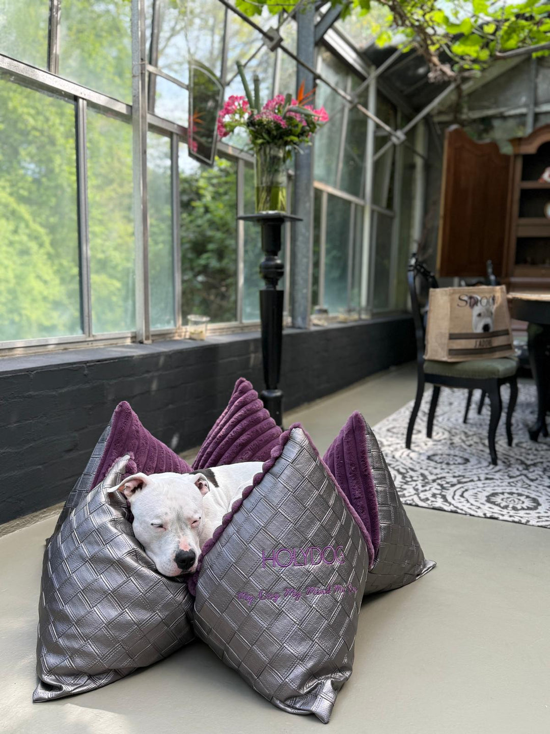 Flum x Holydog Academy #HOLYGlam