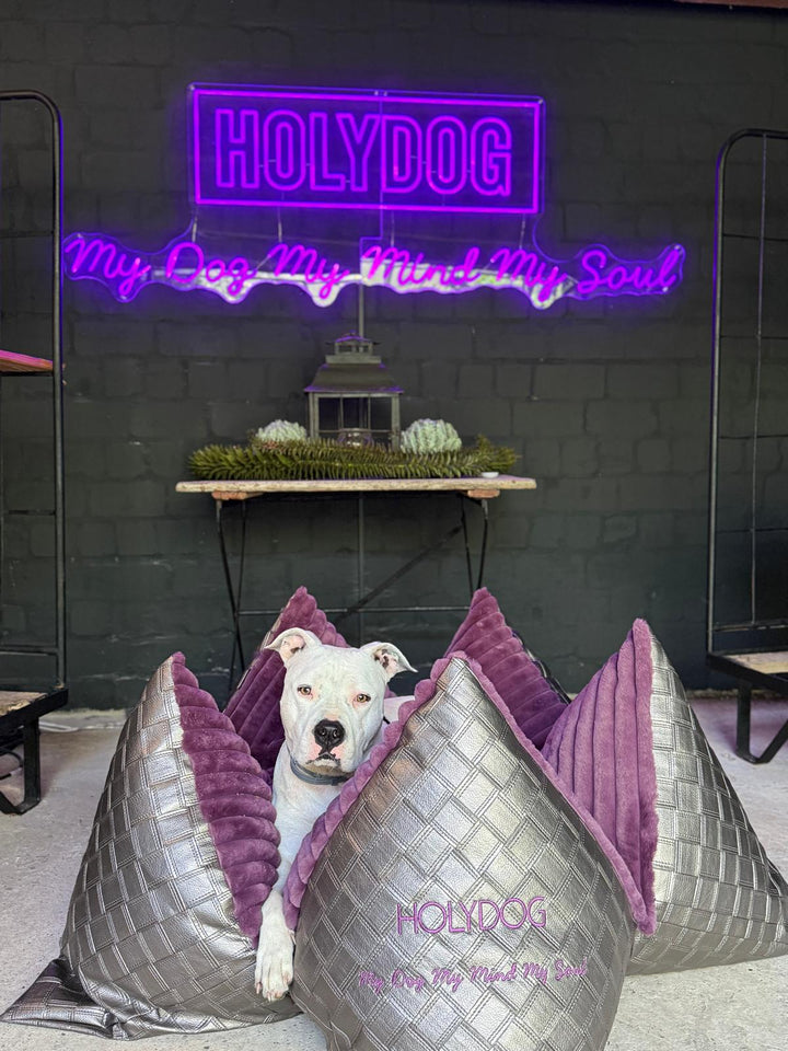 Flum x Holydog Academy #HOLYGlam