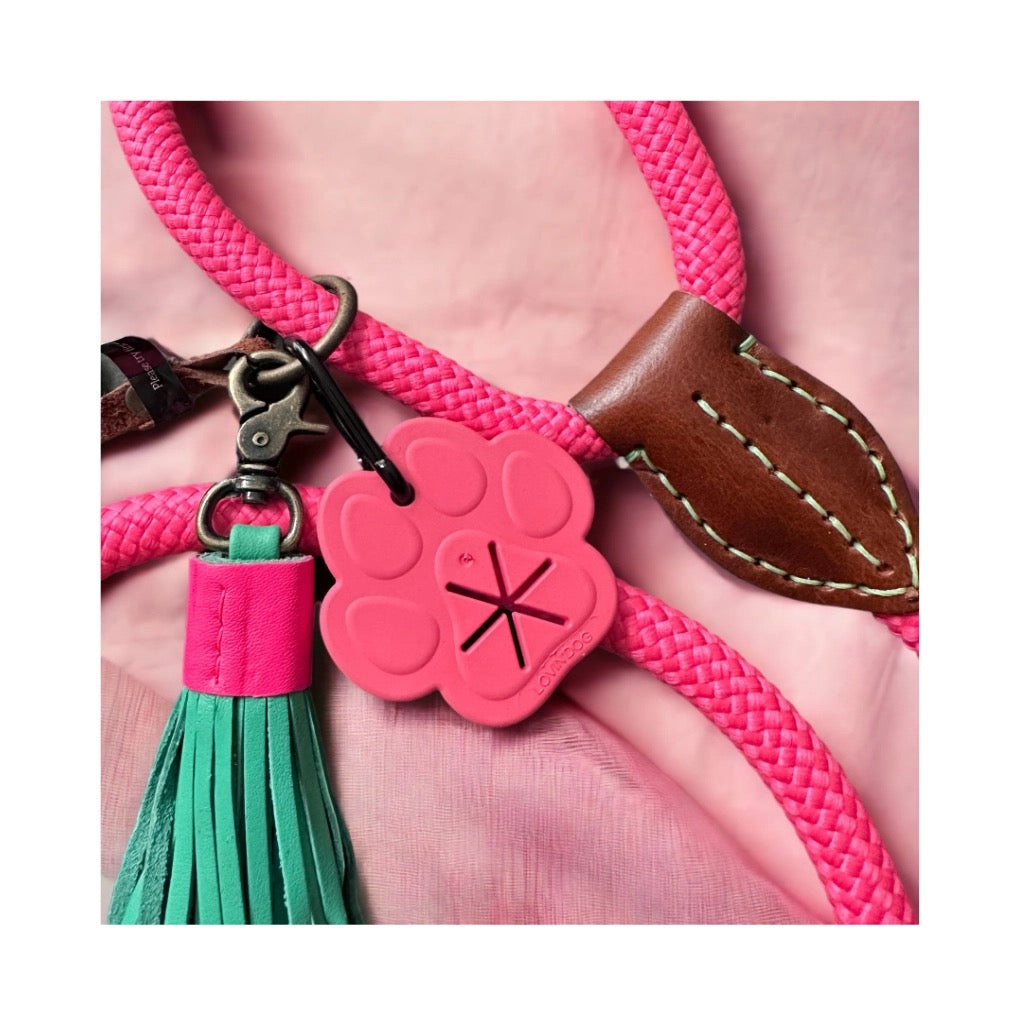 Kotbeutelhalter: Pfote