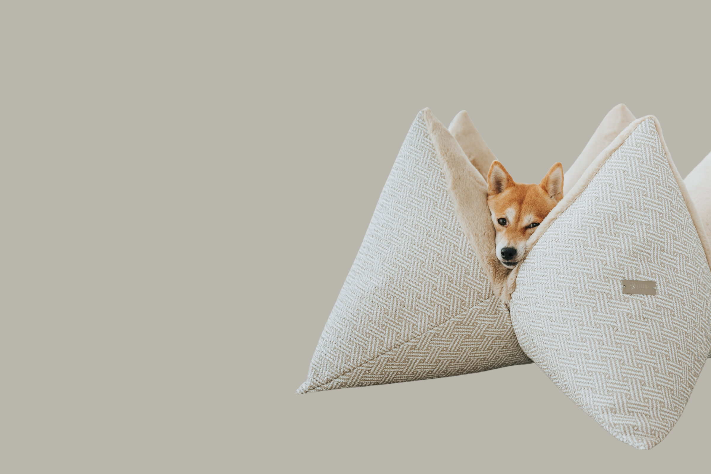 FLUM Kollektionen Hundekissen 