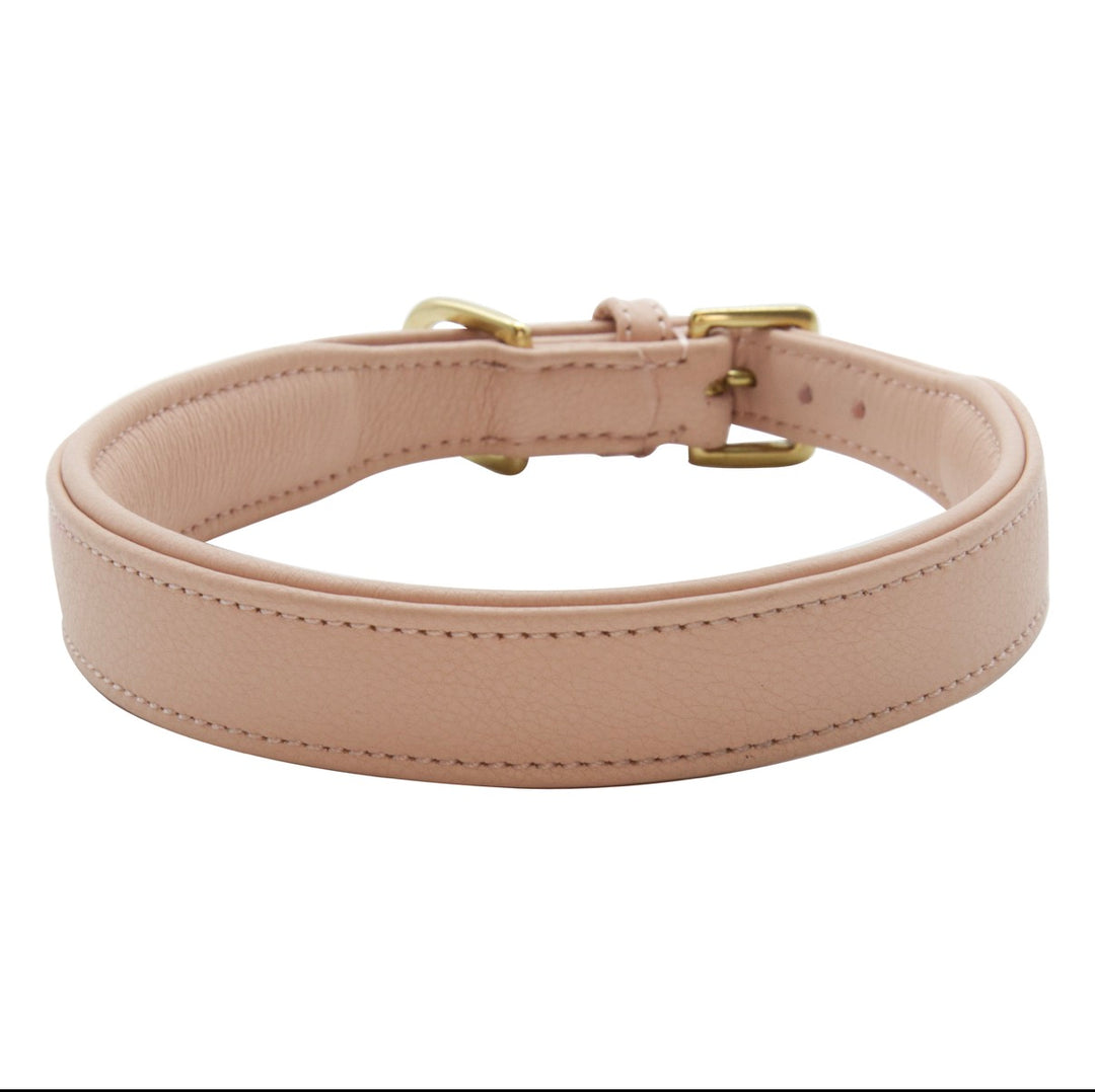 Halsband - Beginning