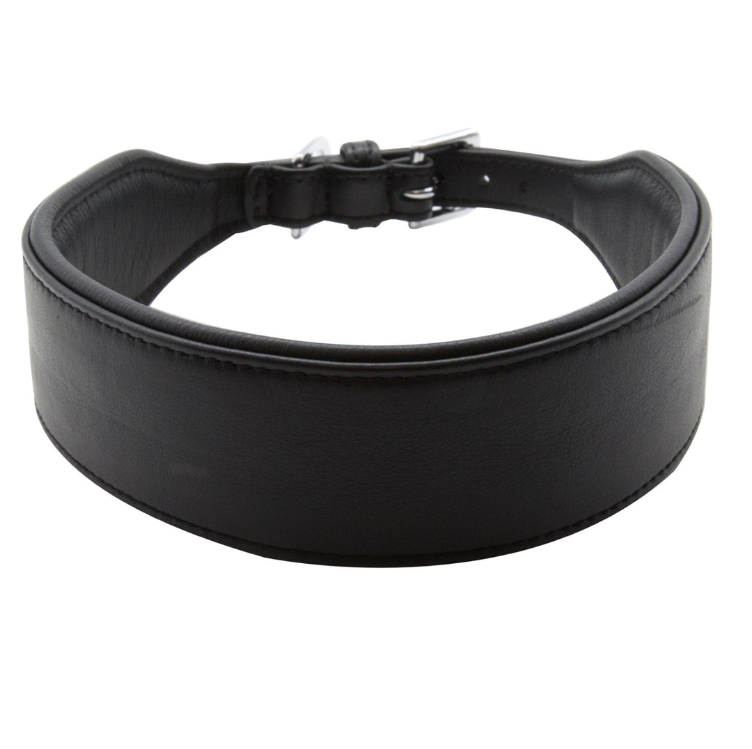 Halsband - Statement