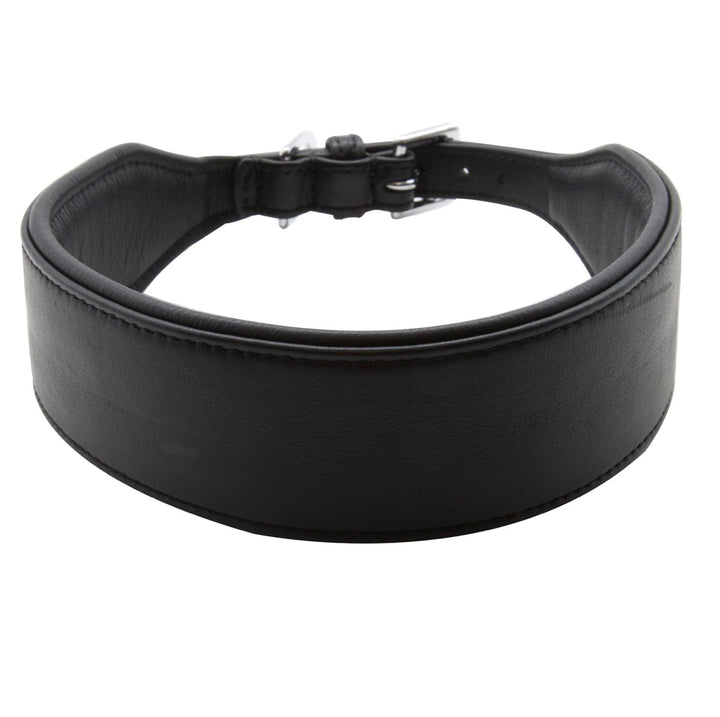 Halsband - Statement