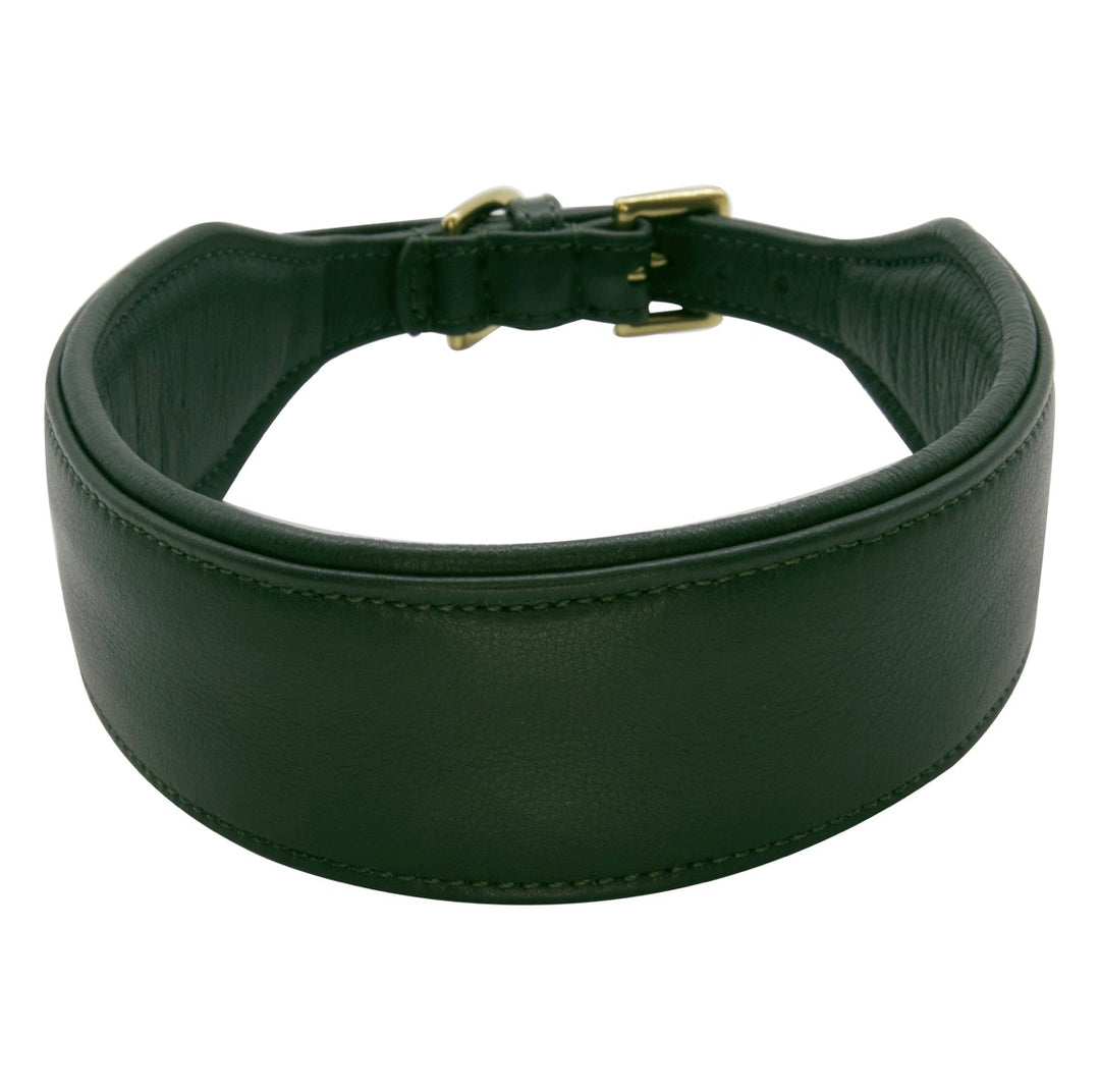 Halsband - Statement