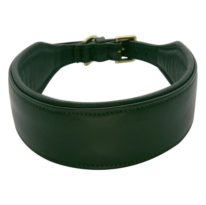 Halsband - Statement