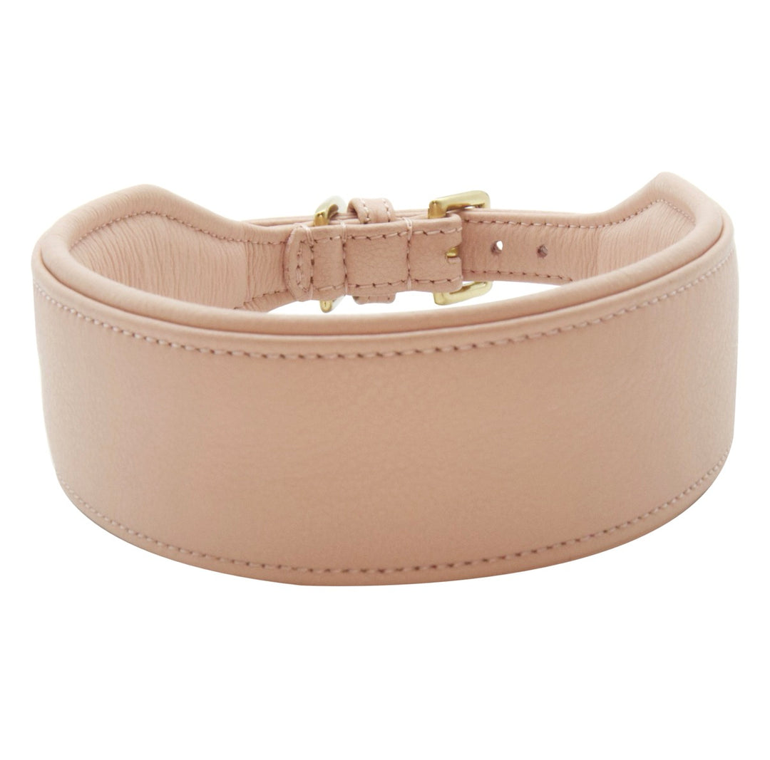 Halsband - Statement