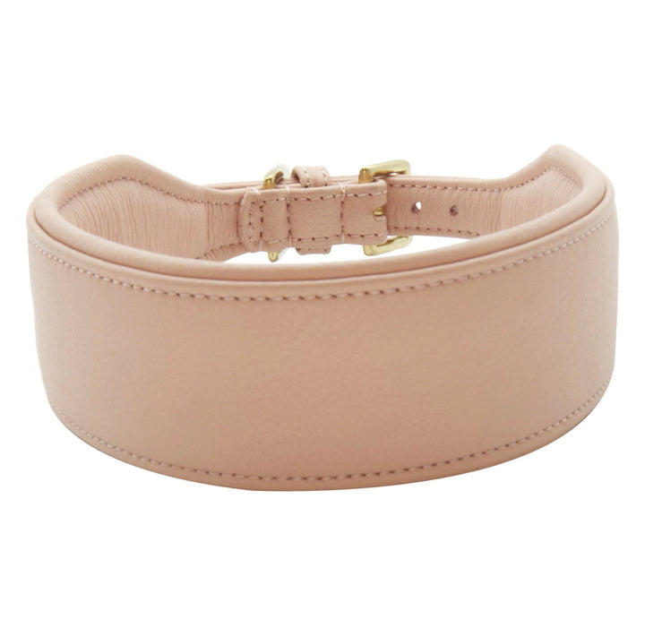 Halsband - Statement