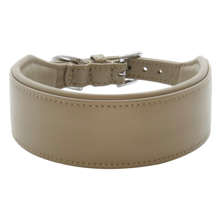 Halsband - Statement