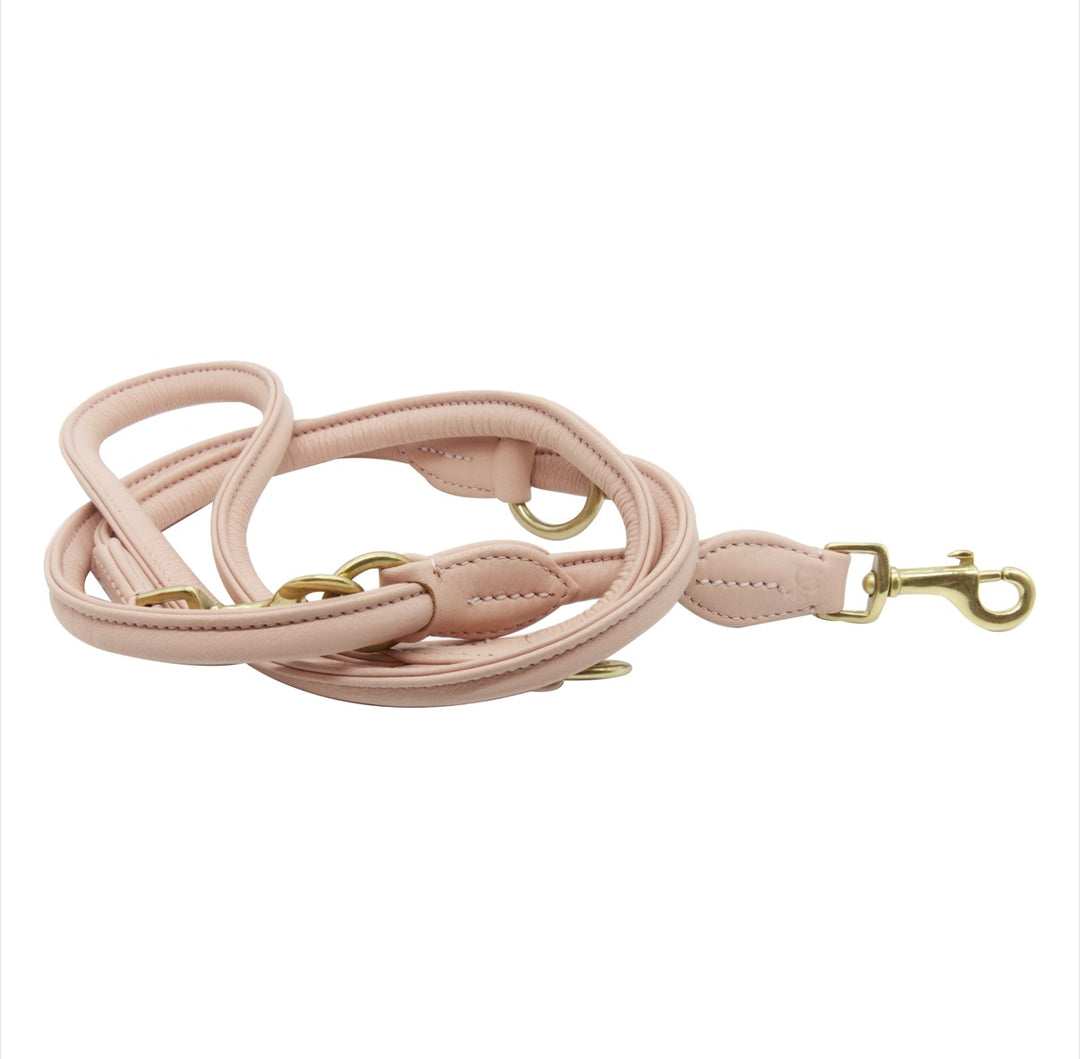 Leine - Connector
