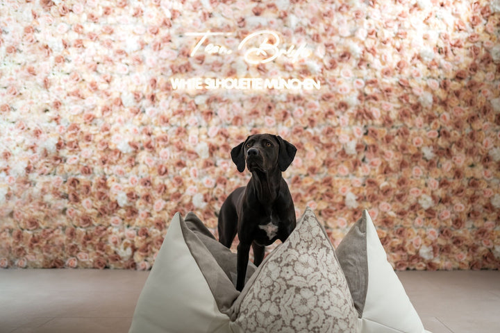 Flum x White Silhouette #cappuccinolace