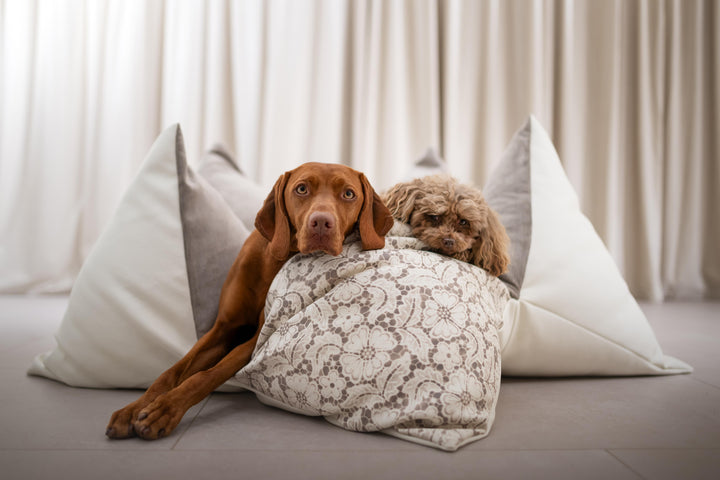 Flum x White Silhouette #cappuccinolace