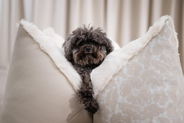 Flum x White Silhouette #champagnerlace