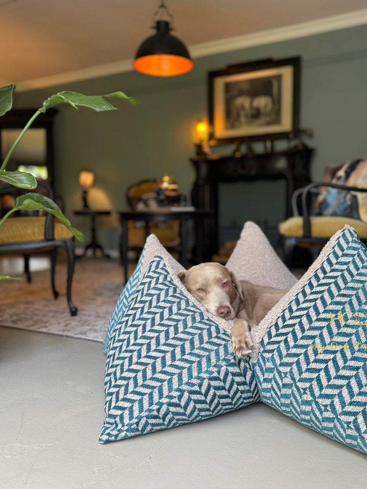 Flum x Holydog Academy #HOLYChillax