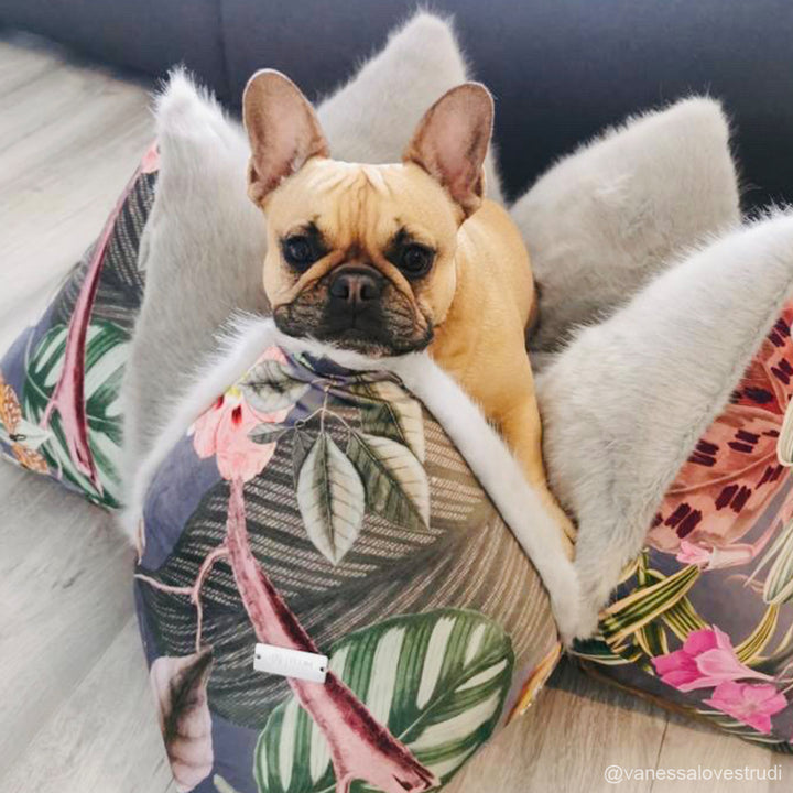 Pompöös Livingstone