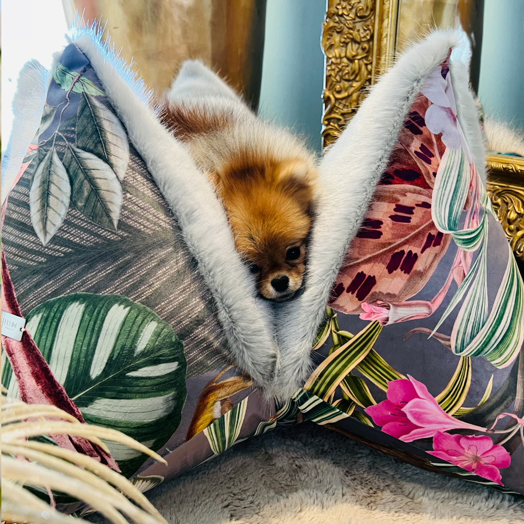 Pompöös Livingstone