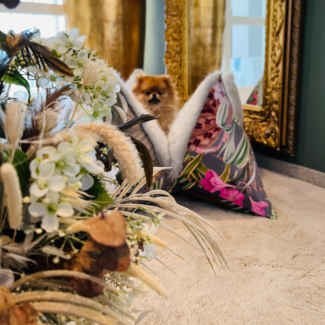 Pompöös Livingstone