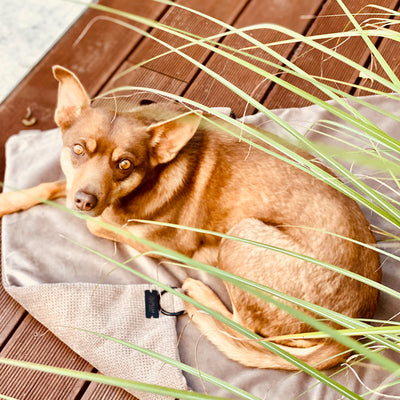 Travel-Decke Light Brown - FLUM Manufaktur