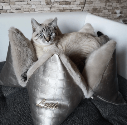 Bestickung - FLUM Manufaktur