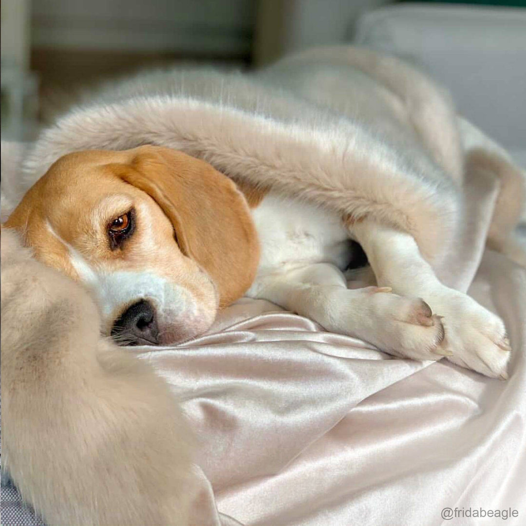 FLUM Sofadecken - FLUM Manufaktur