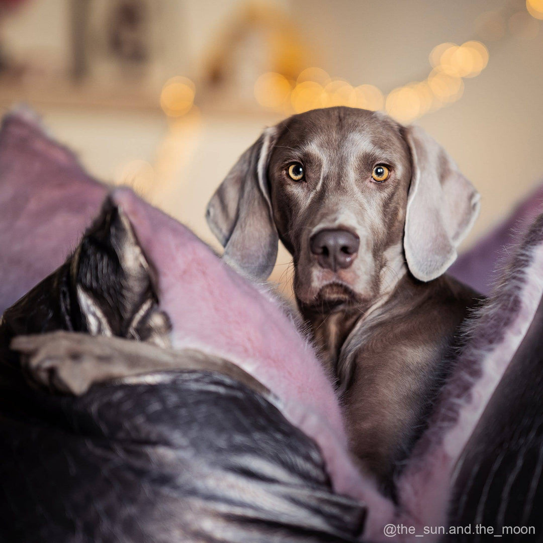 Individuelles Design - FLUM Manufaktur