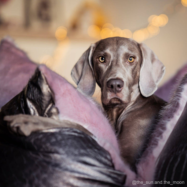 Individuelles Design - FLUM Manufaktur