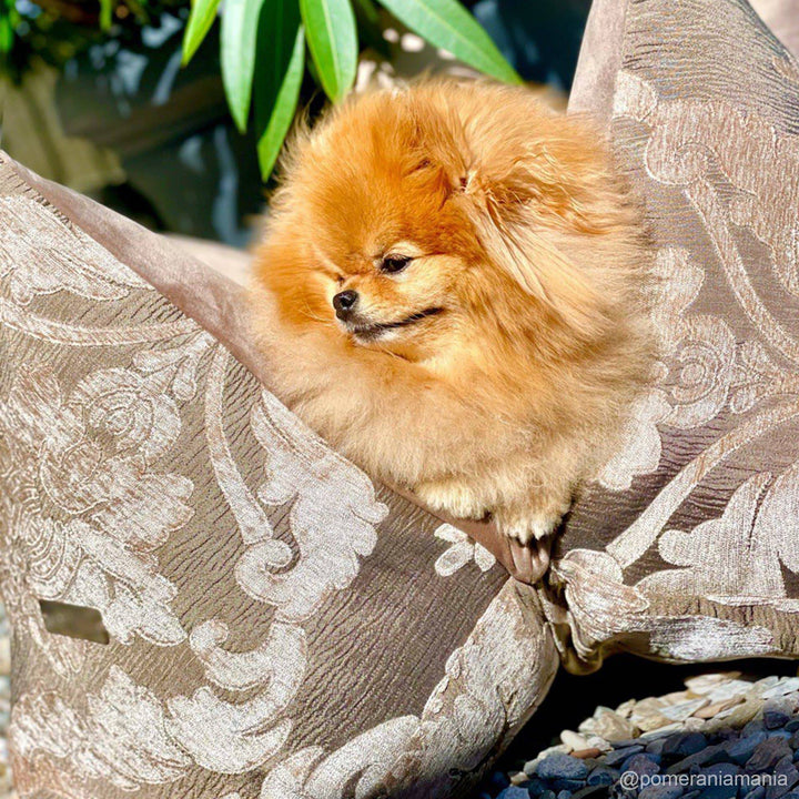 Individuelles Design - FLUM Manufaktur