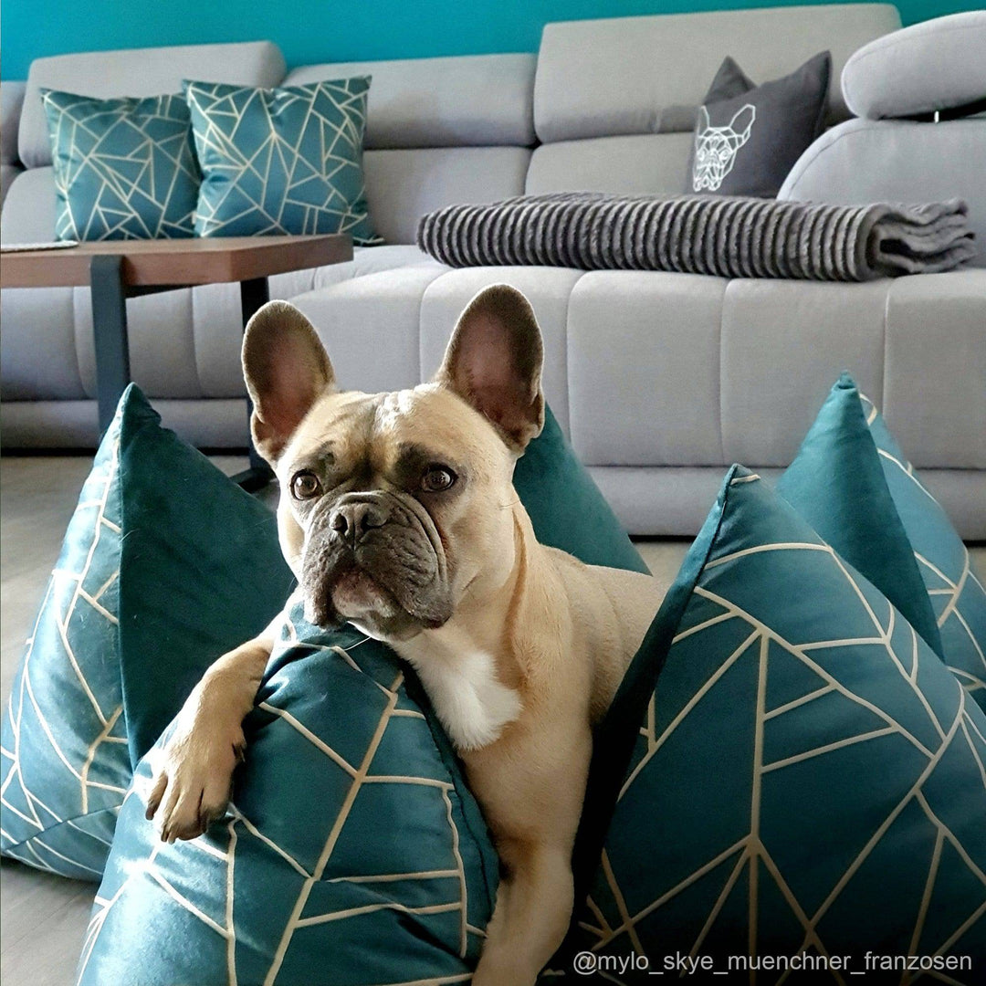 Sofakissen - FLUM Manufaktur